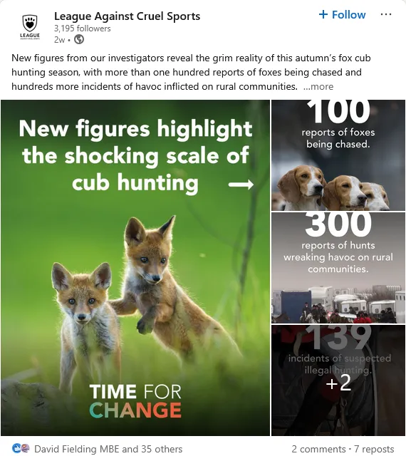 Cub hunting animal chairty deceit