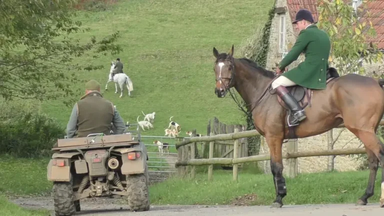 Fox hunting in England