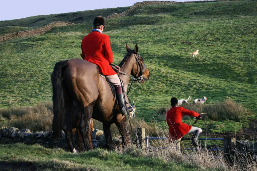 League Against Cruel Sports - Hunting with Dogs